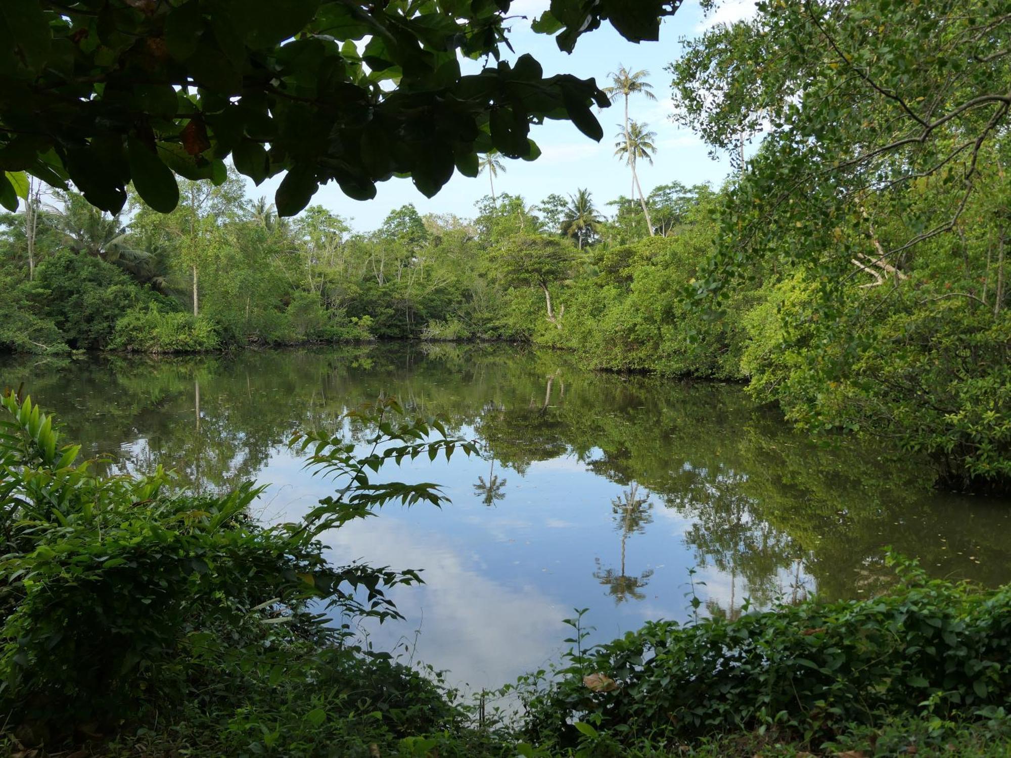 Subodinee Bungalow Weligama Luaran gambar